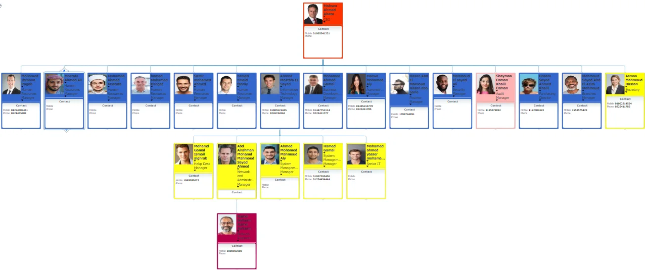 ORGARISE organization structure chart with reporting lines